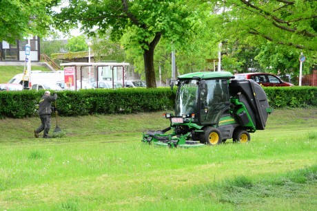 Folyamatosan dolgoznak a parkfenntartók - türelmüket kérjük, mindenhova odaérünk